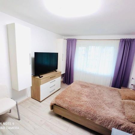 Garsoniera Daniela Apartment Tirgu Ocna Bagian luar foto