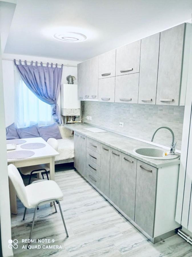 Garsoniera Daniela Apartment Tirgu Ocna Bagian luar foto