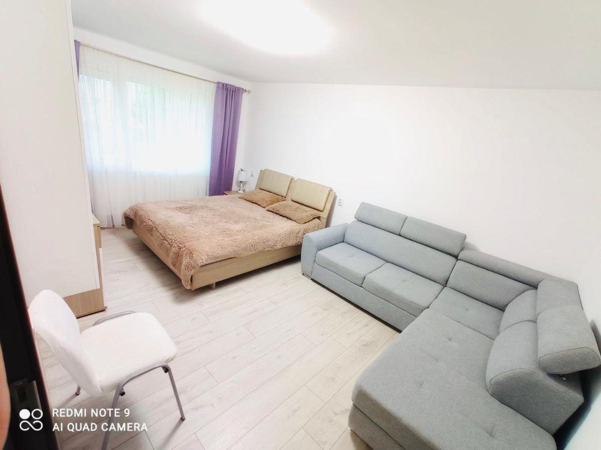 Garsoniera Daniela Apartment Tirgu Ocna Bagian luar foto